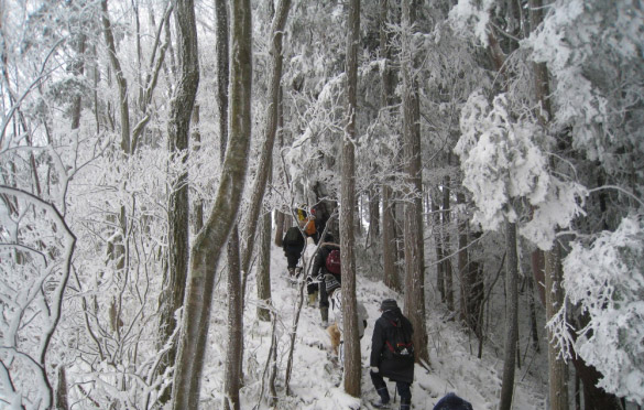 城ヶ山　元旦登山